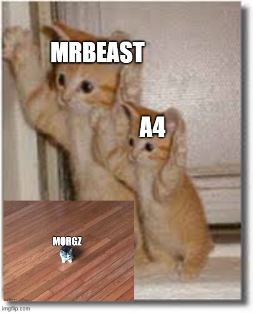 @Viper_King5555 ’s idea remixed with @C00LSK3L3TON95 ’s comment | image tagged in copycat,mrbeast,fake mrbeast,morgz,fake | made w/ Imgflip meme maker