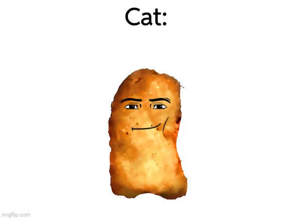 Cat: | made w/ Imgflip meme maker