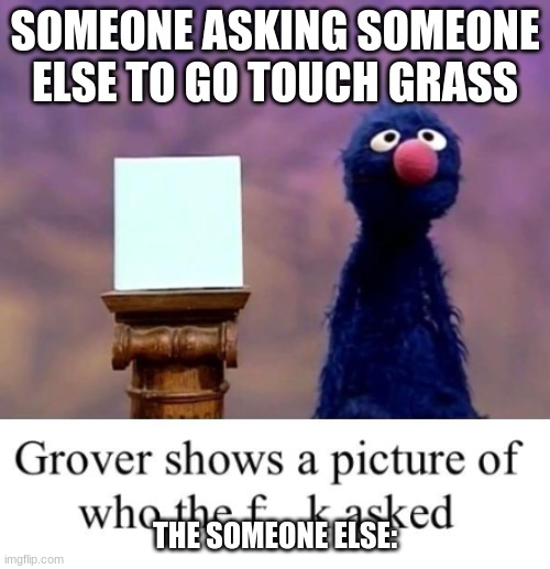 Grover shows a picture of who the freak asked | SOMEONE ASKING SOMEONE ELSE TO GO TOUCH GRASS; THE SOMEONE ELSE: | image tagged in grover shows a picture of who the freak asked | made w/ Imgflip meme maker