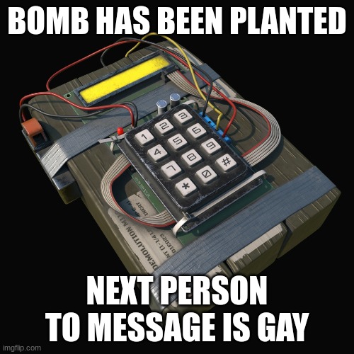 BOMB!!!! | BOMB HAS BEEN PLANTED; NEXT PERSON TO MESSAGE IS GAY | image tagged in bombs planted | made w/ Imgflip meme maker