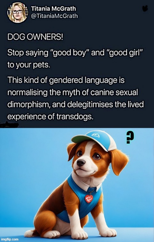 Transdogs ? | image tagged in instructions | made w/ Imgflip meme maker