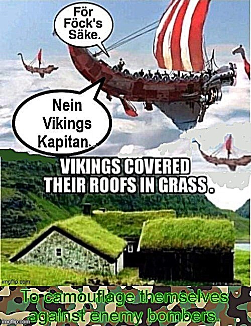 Camouflaged houses | image tagged in vikings | made w/ Imgflip meme maker