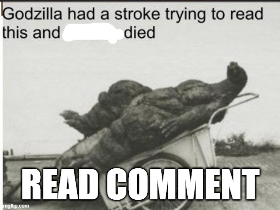 Godzilla | READ COMMENT | image tagged in godzilla,stupid people | made w/ Imgflip meme maker