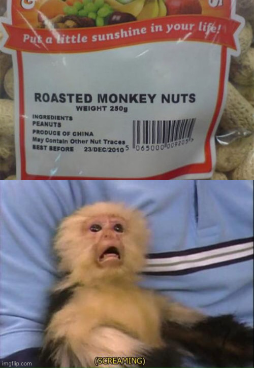 Monkey Business | image tagged in screaming monkey,funny,nuts,you had one job | made w/ Imgflip meme maker