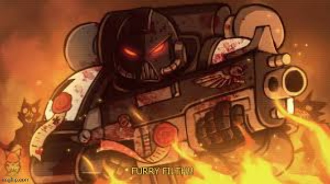 I love this image | image tagged in anti furry,black templar | made w/ Imgflip meme maker