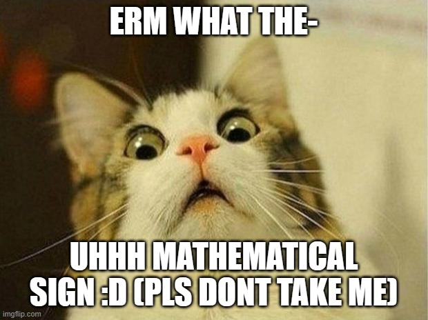 Gen alpha. | ERM WHAT THE-; UHHH MATHEMATICAL SIGN :D (PLS DONT TAKE ME) | image tagged in memes,scared cat | made w/ Imgflip meme maker