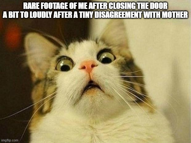 time to start a new life :) | RARE FOOTAGE OF ME AFTER CLOSING THE DOOR A BIT TO LOUDLY AFTER A TINY DISAGREEMENT WITH MOTHER | image tagged in memes,scared cat | made w/ Imgflip meme maker