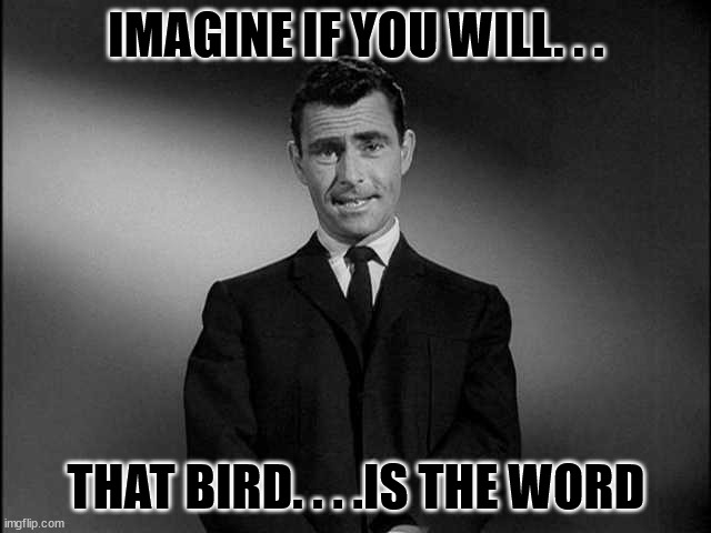 Bird Is The Word | IMAGINE IF YOU WILL. . . THAT BIRD. . . .IS THE WORD | image tagged in rod serling twilight zone,bird is the word | made w/ Imgflip meme maker