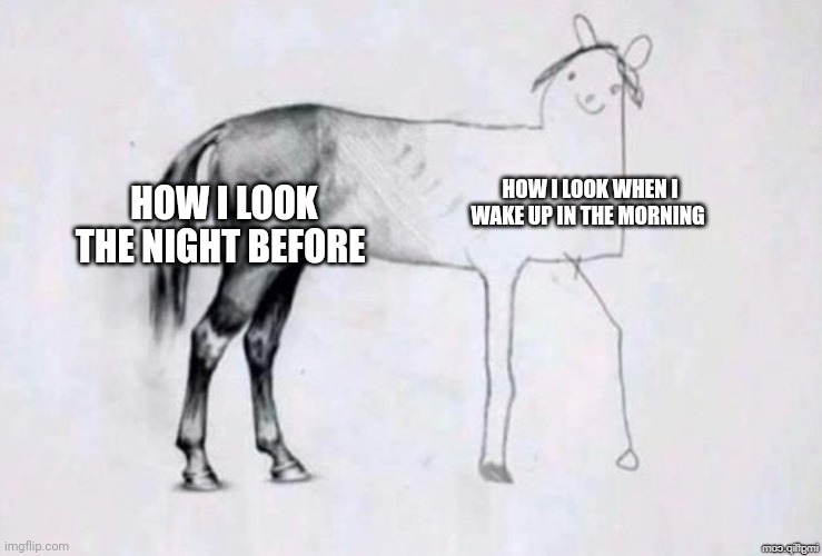 Horse Drawing | HOW I LOOK WHEN I WAKE UP IN THE MORNING; HOW I LOOK THE NIGHT BEFORE | image tagged in horse drawing | made w/ Imgflip meme maker