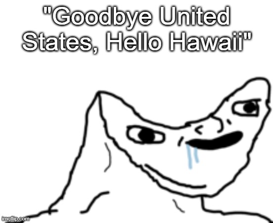 do a little thinking on it and then you'll get it | "Goodbye United States, Hello Hawaii" | image tagged in dumb wojak | made w/ Imgflip meme maker