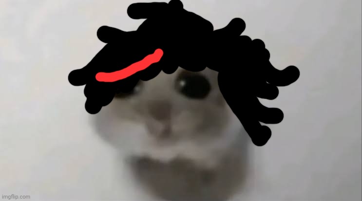 Sad Hamster | image tagged in sad hamster | made w/ Imgflip meme maker