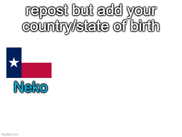 repost but add your country/state of birth; Neko | made w/ Imgflip meme maker