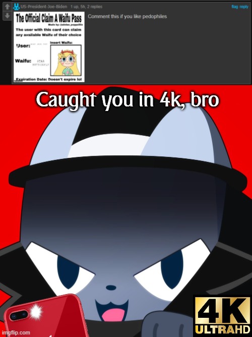 Caught you in 4k, bro | image tagged in pet simulator 99 hacker | made w/ Imgflip meme maker