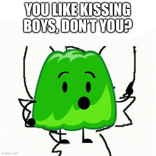 boykisser | YOU LIKE KISSING BOYS, DON’T YOU? | image tagged in boykisser | made w/ Imgflip meme maker