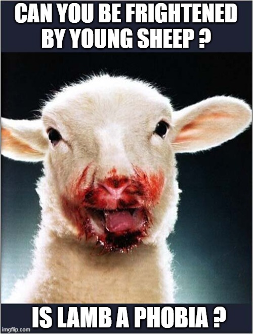 A Psychological Question | CAN YOU BE FRIGHTENED BY YOUNG SHEEP ? IS LAMB A PHOBIA ? | image tagged in psychology,lamb,phobia,play on words,dark humour | made w/ Imgflip meme maker