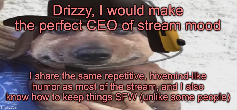 chucklenuts | Drizzy, I would make the perfect CEO of stream mood; I share the same repetitive, hivemind-like humor as most of the stream, and I also know how to keep things SFW (unlike some people) | image tagged in chucklenuts | made w/ Imgflip meme maker