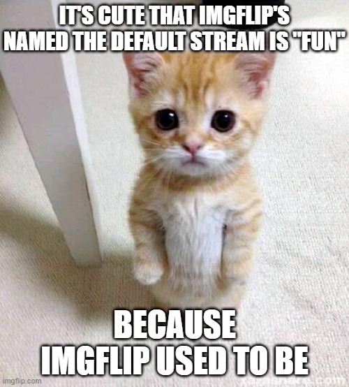 Cute Cat Meme | IT'S CUTE THAT IMGFLIP'S NAMED THE DEFAULT STREAM IS "FUN"; BECAUSE IMGFLIP USED TO BE | image tagged in memes,cute cat | made w/ Imgflip meme maker