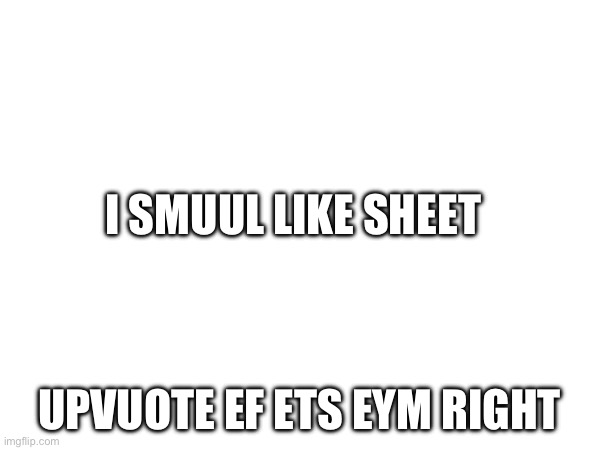 Correct version: i smell like shit upvote if im right | I SMUUL LIKE SHEET; UPVOTE EF ETS EYM RIGHT | made w/ Imgflip meme maker