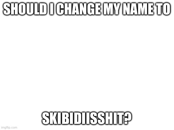 SHOULD I CHANGE MY NAME TO; SKIBIDIISSHIT? | made w/ Imgflip meme maker