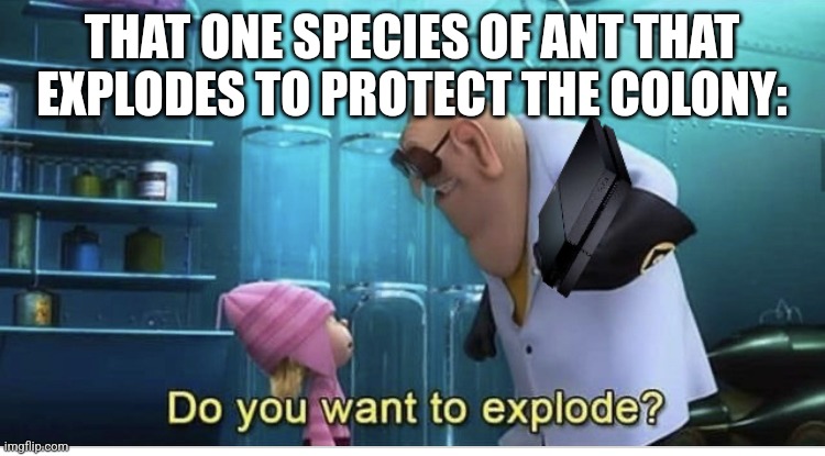 There's a species of exploding ant | THAT ONE SPECIES OF ANT THAT EXPLODES TO PROTECT THE COLONY: | image tagged in do you want to explode,nature,jpfan102504 | made w/ Imgflip meme maker