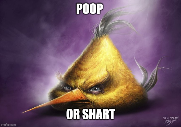 Realistic yellow angry bird | POOP OR SHART | image tagged in realistic yellow angry bird | made w/ Imgflip meme maker