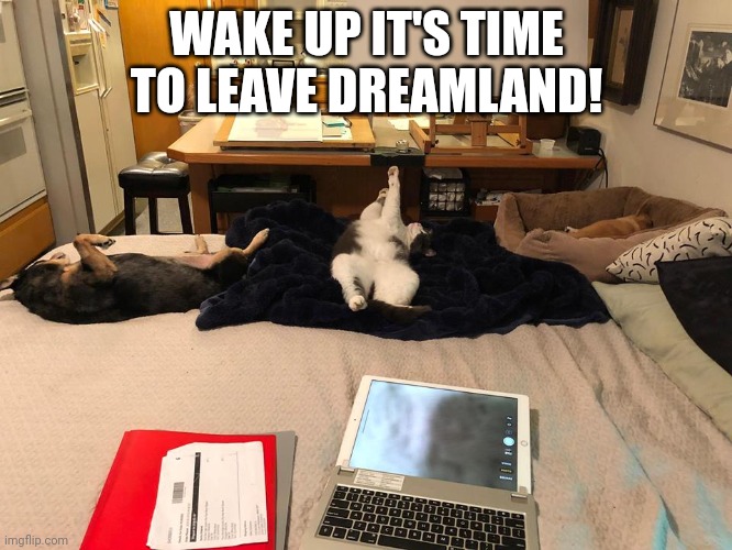 WAKE UP IT'S TIME TO LEAVE DREAMLAND! | WAKE UP IT'S TIME TO LEAVE DREAMLAND! | image tagged in babytv memes,asthma | made w/ Imgflip meme maker