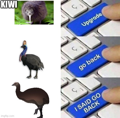 I SAID GO BACK | KIWI | image tagged in i said go back | made w/ Imgflip meme maker