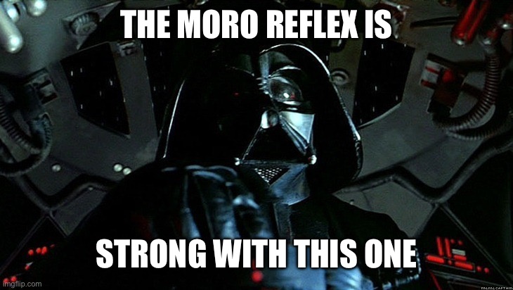 Vader Moro Reflex | THE MORO REFLEX IS; STRONG WITH THIS ONE | image tagged in darth vader tie fighter | made w/ Imgflip meme maker