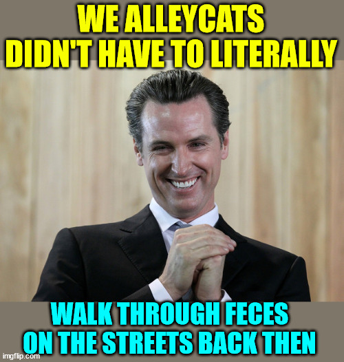 Scheming Gavin Newsom  | WE ALLEYCATS DIDN'T HAVE TO LITERALLY WALK THROUGH FECES ON THE STREETS BACK THEN | image tagged in scheming gavin newsom | made w/ Imgflip meme maker