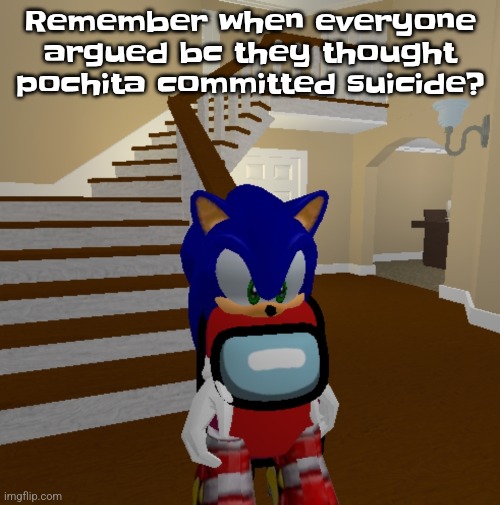 What did sou yay | Remember when everyone argued bc they thought pochita committed suicide? | image tagged in what did sou yay | made w/ Imgflip meme maker