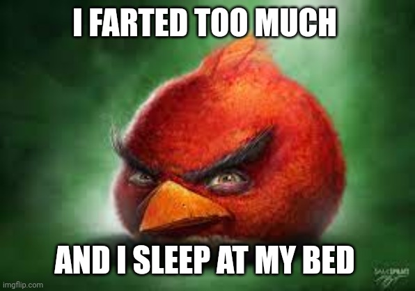 Realistic Red Angry Birds | I FARTED TOO MUCH; AND I SLEEP AT MY BED | image tagged in realistic red angry birds | made w/ Imgflip meme maker