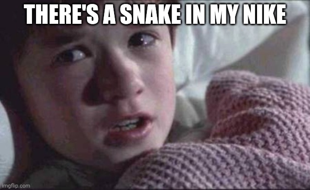 What's wrong with me? | THERE'S A SNAKE IN MY NIKE | image tagged in memes,i see dead people,nike,asthma,funny | made w/ Imgflip meme maker