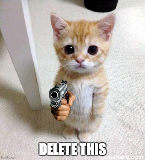 delete this cat | DELETE THIS | image tagged in memes,cute cat | made w/ Imgflip meme maker