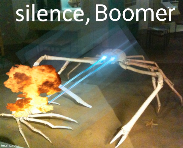 Silence Crab | Boomer | image tagged in silence crab | made w/ Imgflip meme maker