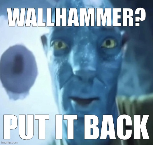 Staring Avatar 2 dude | WALLHAMMER? PUT IT BACK | image tagged in staring avatar 2 dude | made w/ Imgflip meme maker