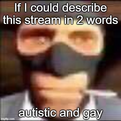 Funny is that i'm neither of those lmao (Swn note: that’s three words) | If I could describe this stream in 2 words; autistic and gay | image tagged in spi | made w/ Imgflip meme maker