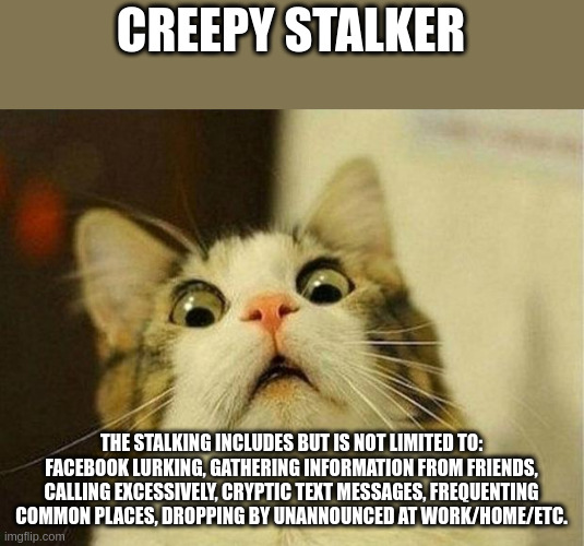 creepy stalker | CREEPY STALKER; THE STALKING INCLUDES BUT IS NOT LIMITED TO: FACEBOOK LURKING, GATHERING INFORMATION FROM FRIENDS, CALLING EXCESSIVELY, CRYPTIC TEXT MESSAGES, FREQUENTING COMMON PLACES, DROPPING BY UNANNOUNCED AT WORK/HOME/ETC. | image tagged in memes,scared cat | made w/ Imgflip meme maker