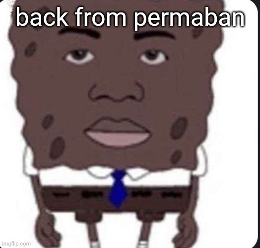 splack | back from permaban | image tagged in splack | made w/ Imgflip meme maker