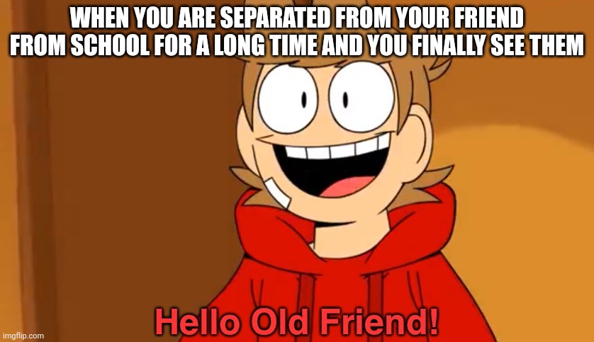 Hello Old Friend! | WHEN YOU ARE SEPARATED FROM YOUR FRIEND FROM SCHOOL FOR A LONG TIME AND YOU FINALLY SEE THEM | image tagged in hello old friend | made w/ Imgflip meme maker