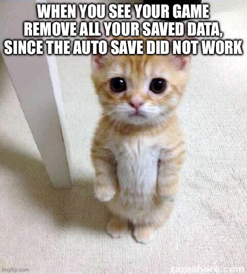 Cute Cat Meme | WHEN YOU SEE YOUR GAME REMOVE ALL YOUR SAVED DATA, SINCE THE AUTO SAVE DID NOT WORK | image tagged in memes,cute cat,games,save | made w/ Imgflip meme maker