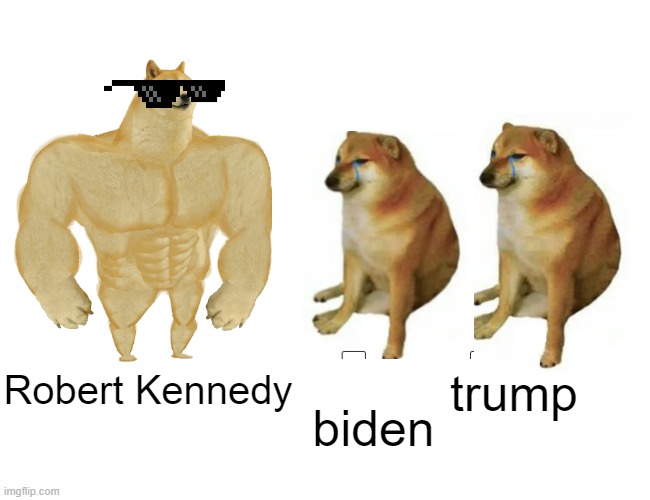 Buff Doge vs. Cheems | trump; Robert Kennedy; biden | image tagged in memes,buff doge vs cheems | made w/ Imgflip meme maker
