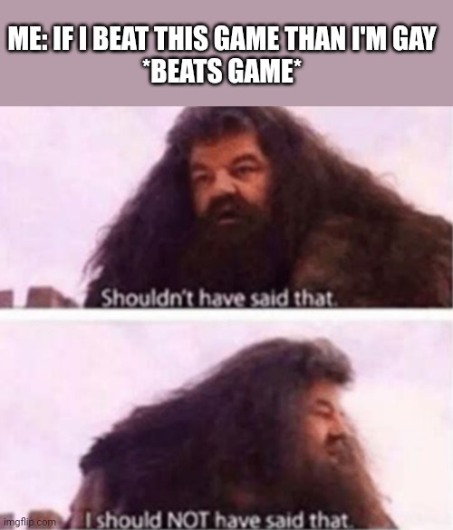 Shouldn't have said that | ME: IF I BEAT THIS GAME THAN I'M GAY
*BEATS GAME* | image tagged in shouldn't have said that | made w/ Imgflip meme maker