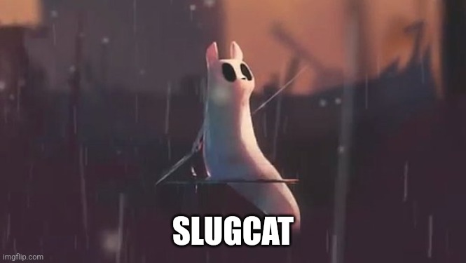 Nomadic Slugcat | SLUGCAT | image tagged in nomadic slugcat | made w/ Imgflip meme maker