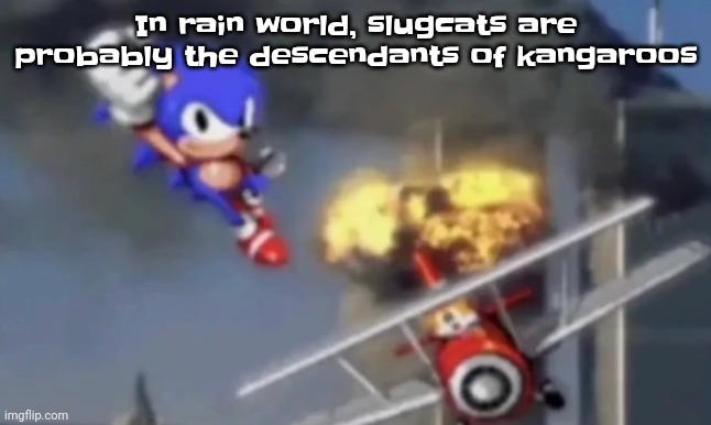 Because dude like bro | In rain world, slugcats are probably the descendants of kangaroos | image tagged in al segaeda | made w/ Imgflip meme maker