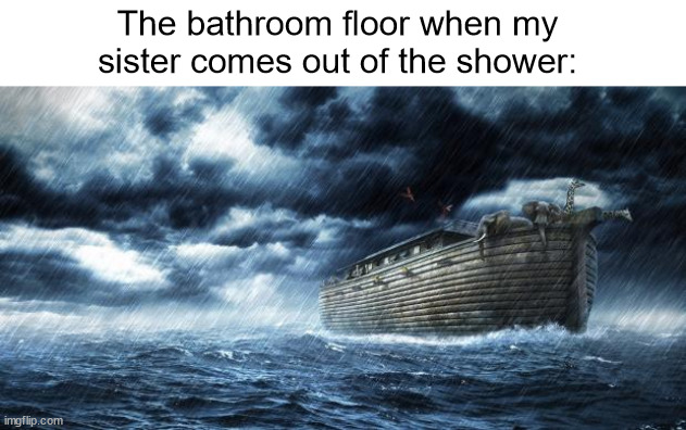 the floor is COVERED in water :((( | The bathroom floor when my sister comes out of the shower: | image tagged in noahs ark,sisters,so true,sad,sad but true,relatable | made w/ Imgflip meme maker
