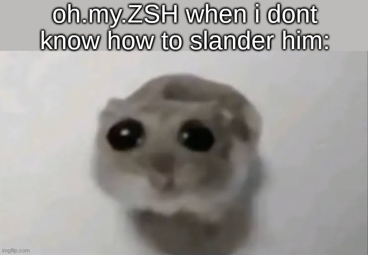 Sad Hamster | oh.my.ZSH when i dont know how to slander him: | image tagged in sad hamster | made w/ Imgflip meme maker