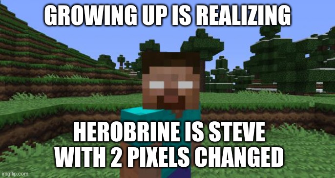 no title | GROWING UP IS REALIZING; HEROBRINE IS STEVE WITH 2 PIXELS CHANGED | image tagged in herobrine | made w/ Imgflip meme maker