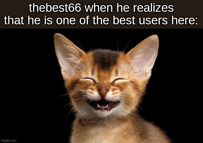 Happy_Cat | thebest66 when he realizes that he is one of the best users here: | image tagged in happy_cat | made w/ Imgflip meme maker