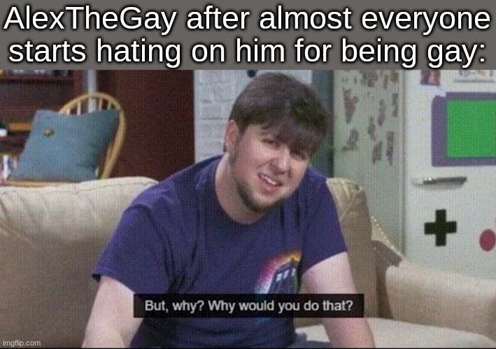 But why why would you do that? | AlexTheGay after almost everyone starts hating on him for being gay: | image tagged in but why why would you do that | made w/ Imgflip meme maker