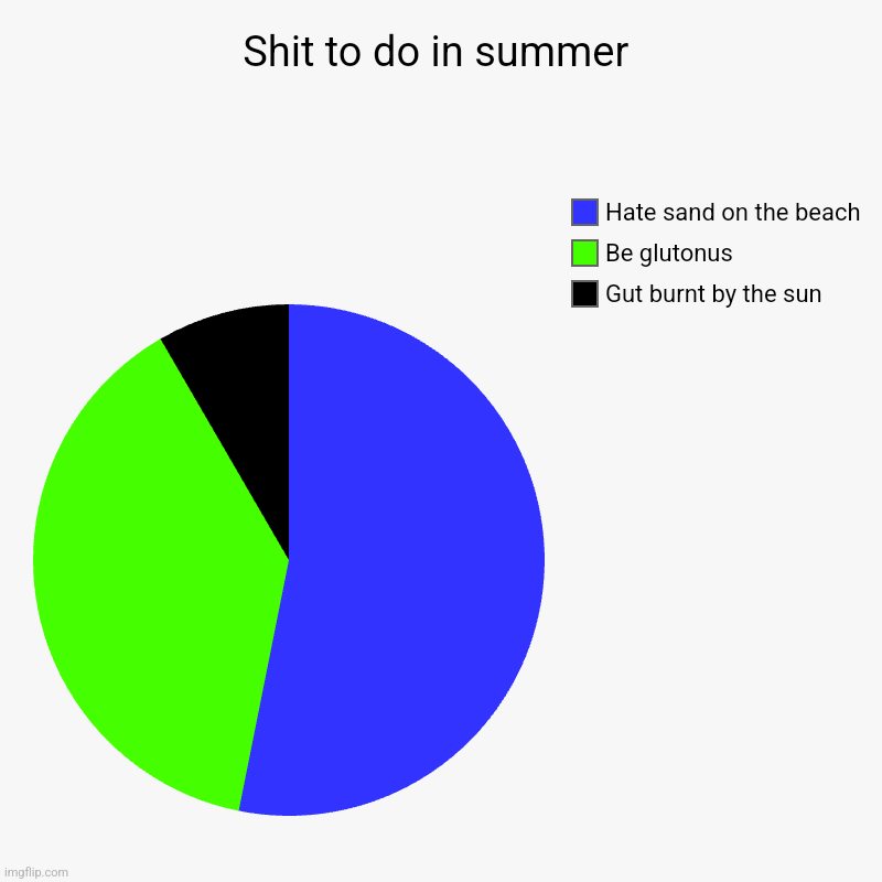 Shit to do in summer | Gut burnt by the sun, Be glutonus , Hate sand on the beach | image tagged in charts,pie charts | made w/ Imgflip chart maker